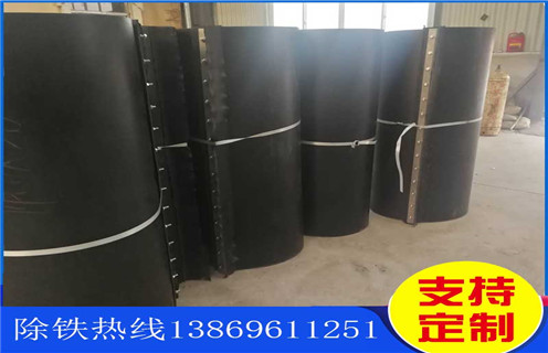 濰坊千亿体育-充值中心式永磁除鐵器